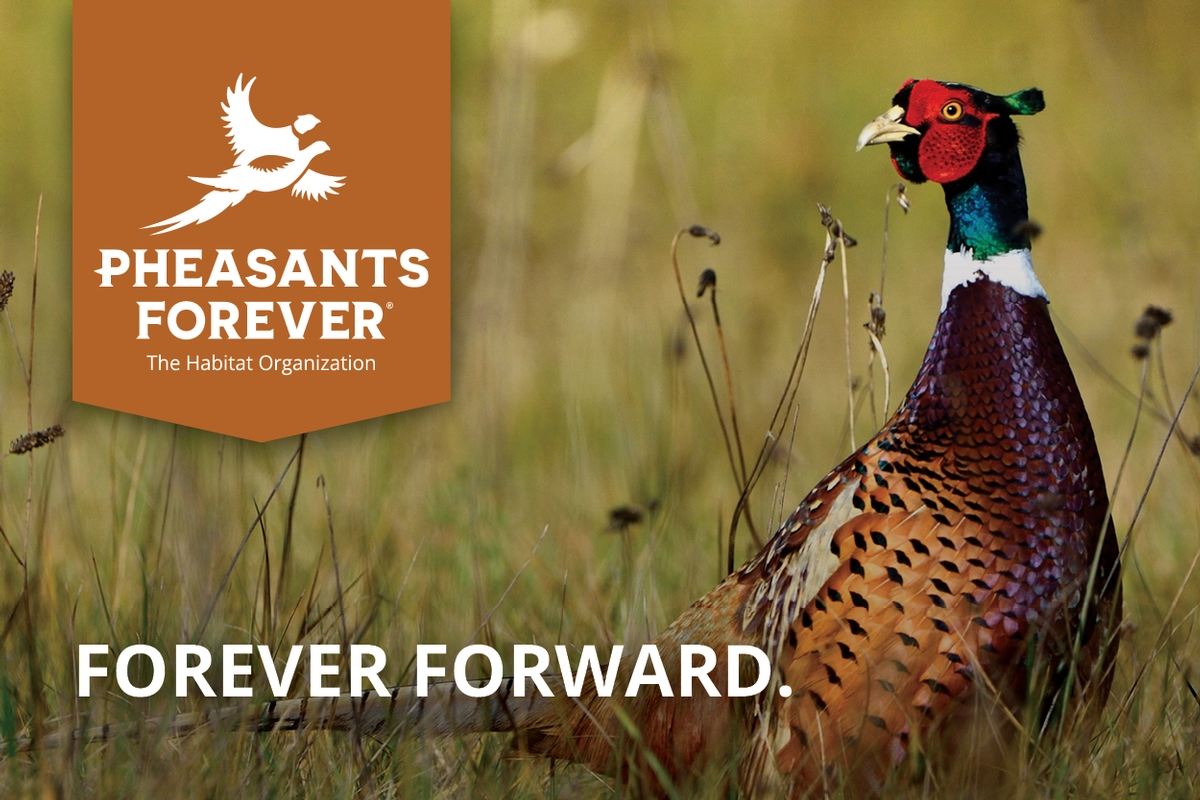 Who Is Pheasants Forever?